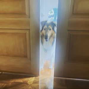 Meet your Posher, Amalia